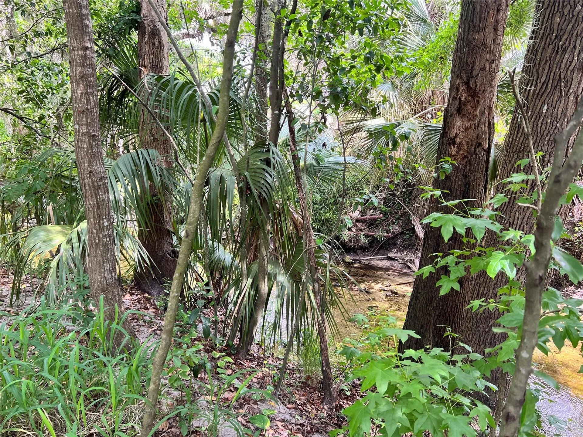 652 Roaring Drive Altamonte Springs FL 32714