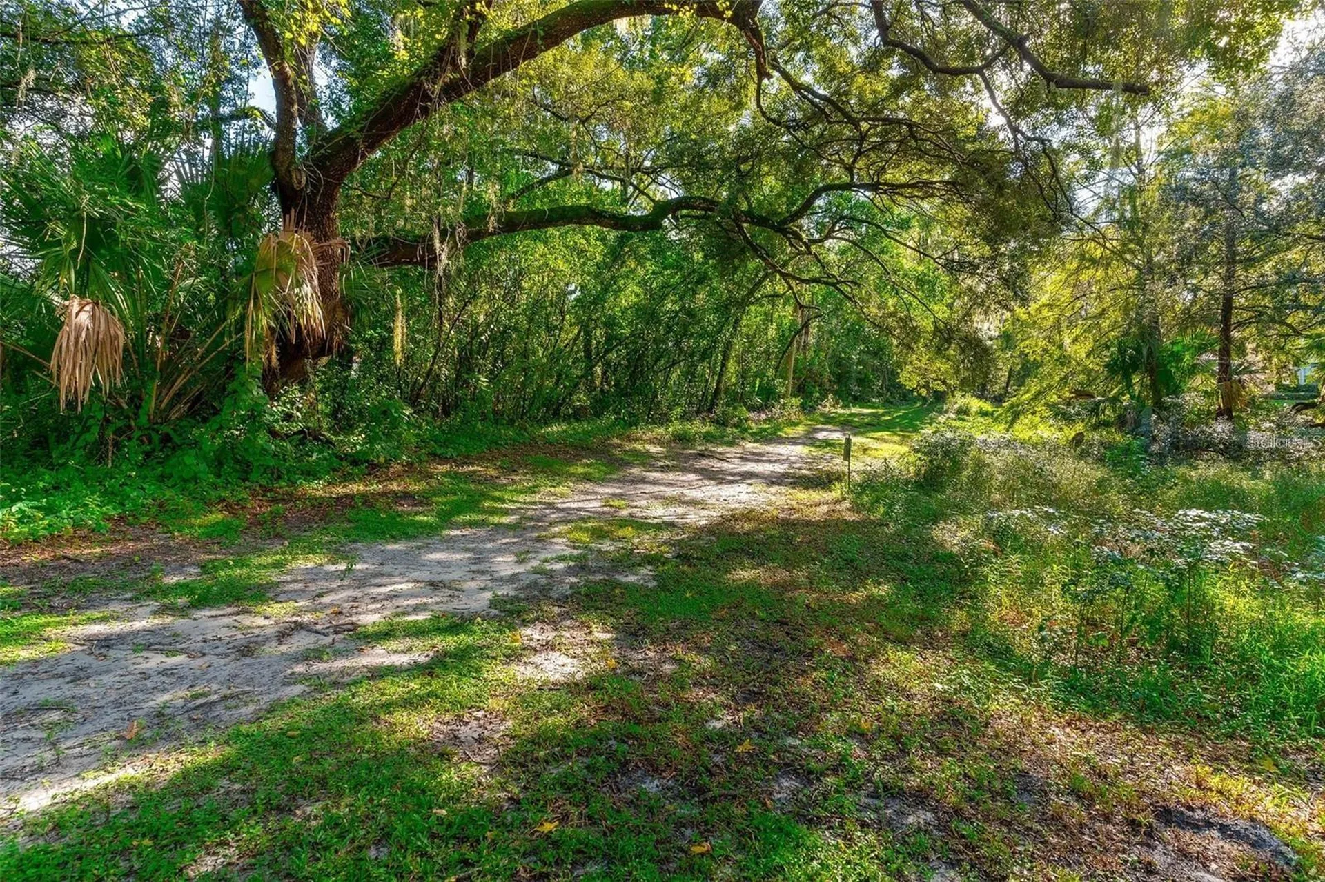 652 Roaring Drive Altamonte Springs FL 32714
