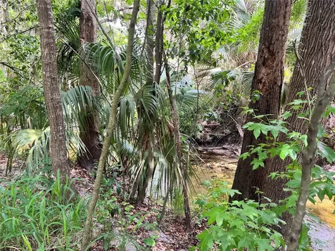 652 Roaring Drive Altamonte Springs FL 32714