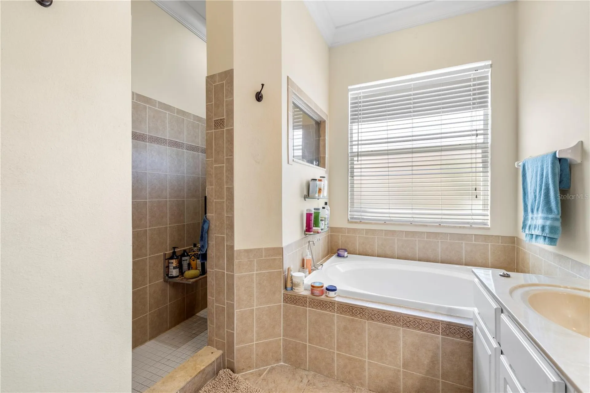 5096 Brightstone Place Spring Hill FL 34609