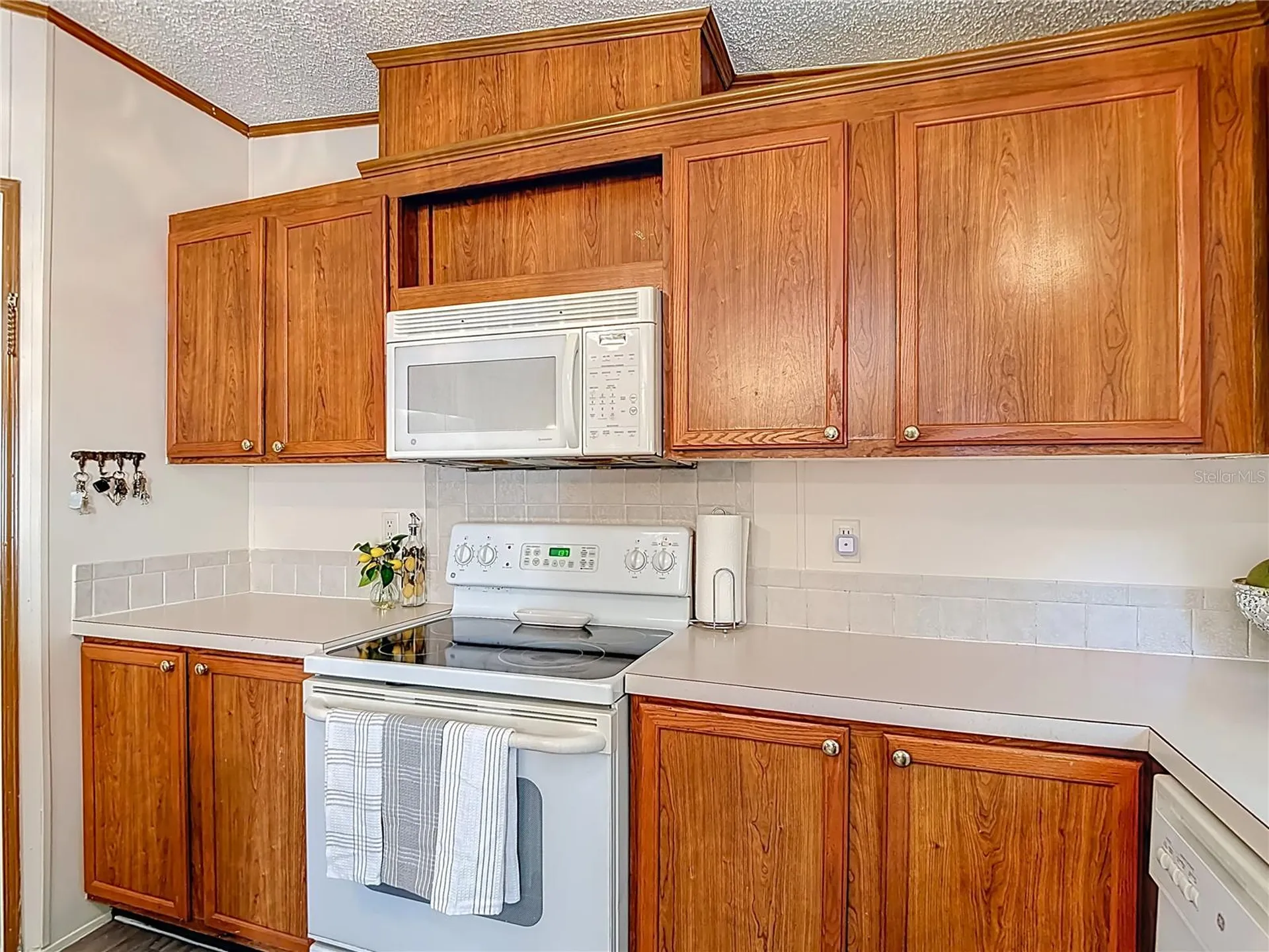 7207 50th Avenue S Tampa FL 33619