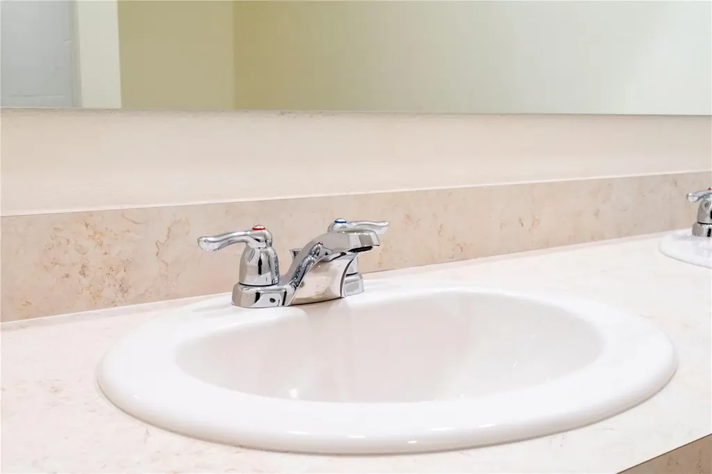 2847 Common Crane Court Harmony FL 34773