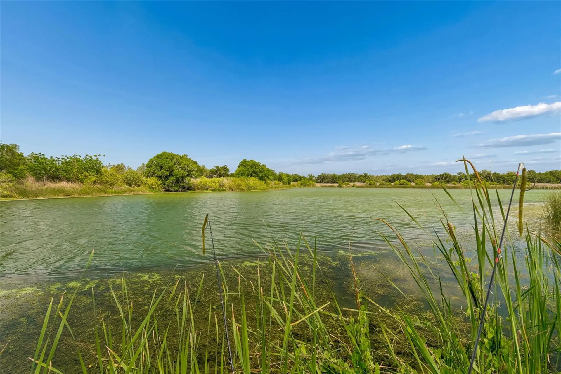 1980 Old Brewster Road Fort Meade FL 33841