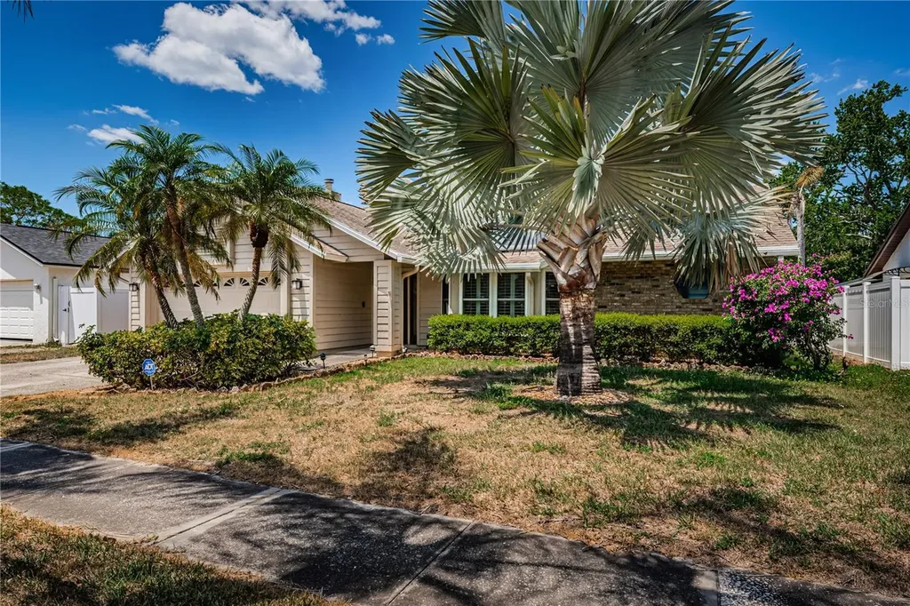 6804 Seafairer Drive Tampa FL 33615