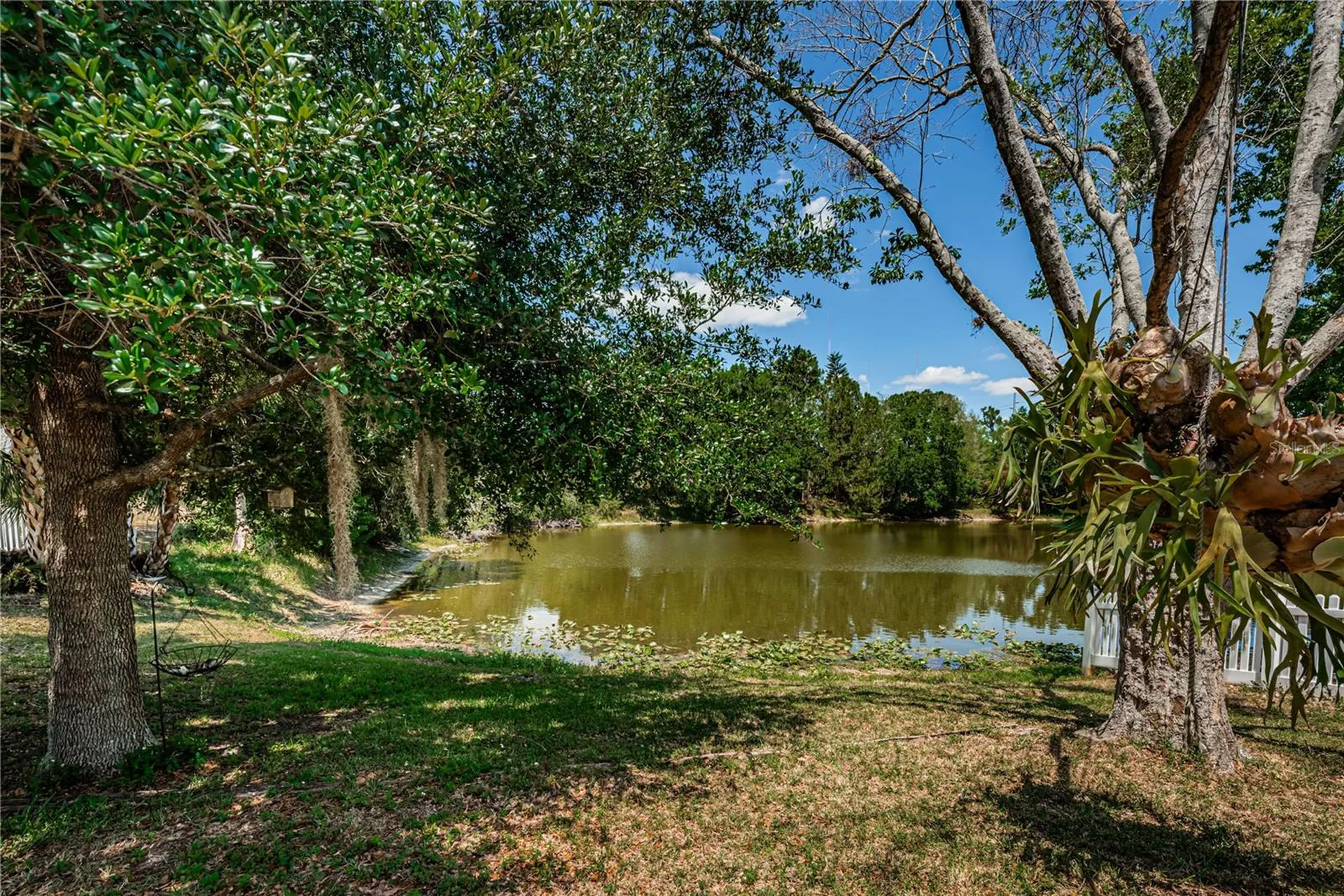 6804 Seafairer Drive Tampa FL 33615
