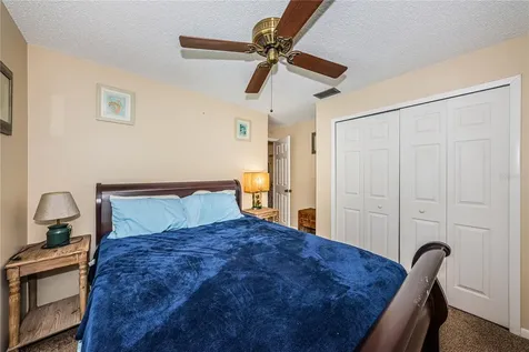 6804 Seafairer Drive Tampa FL 33615