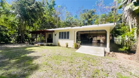 Carr 115 Bo Calvache Rincon PR 00677