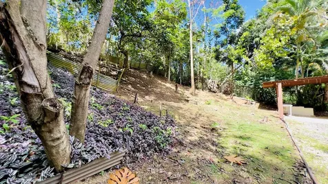 Carr 115 Bo Calvache Rincon PR 00677