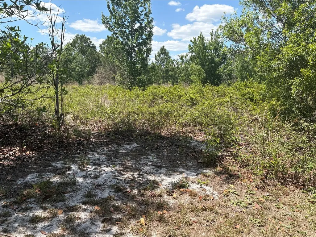San Juan Avenue Polk City FL 33868
