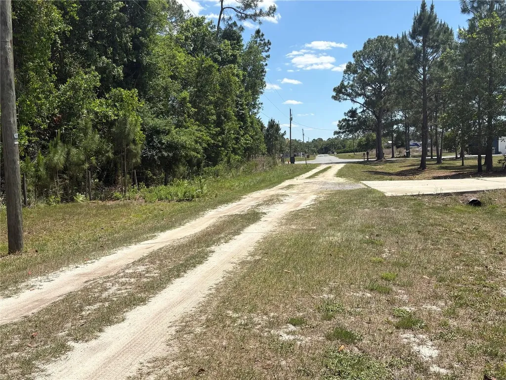 San Juan Avenue Polk City FL 33868