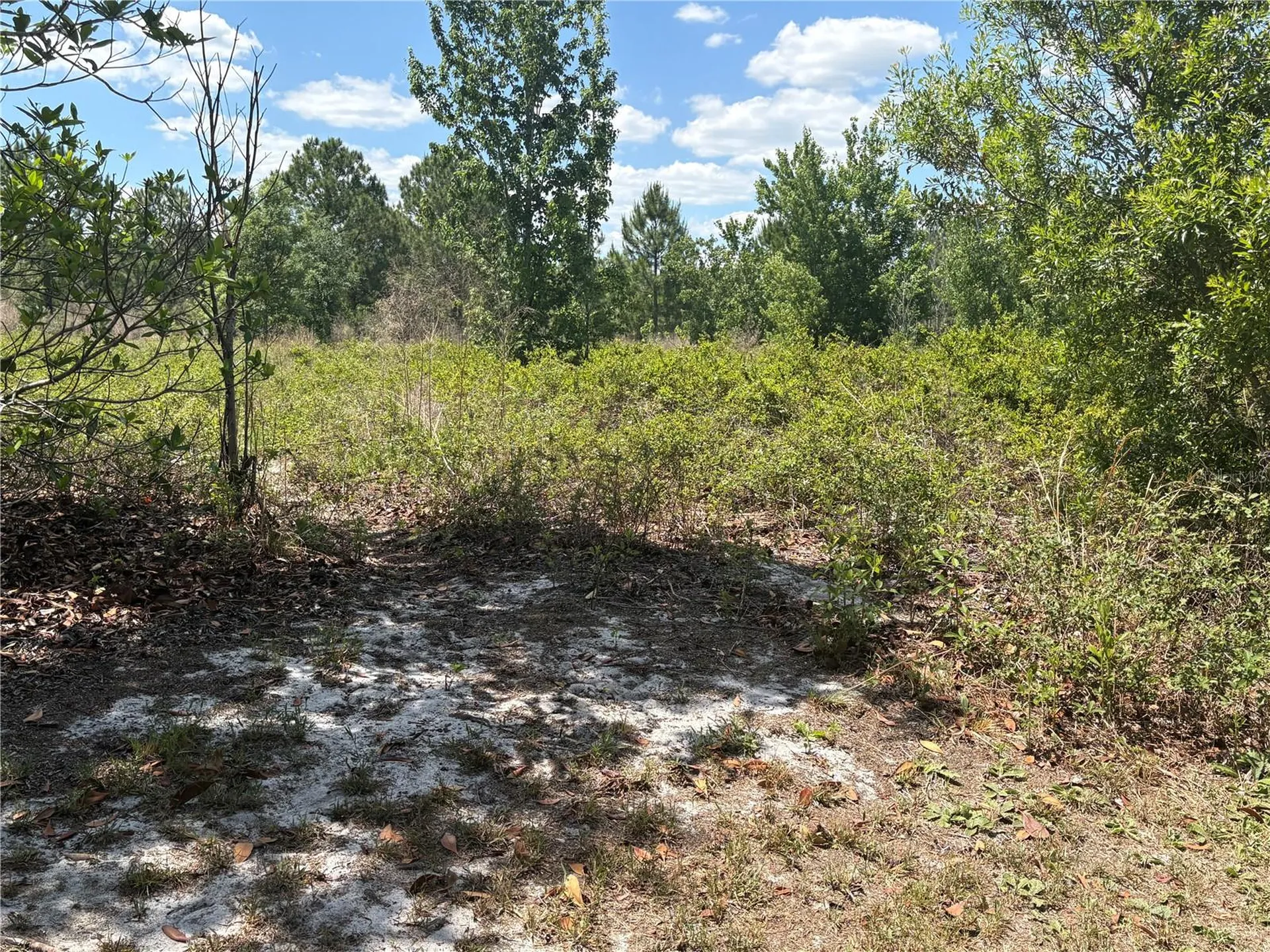San Juan Avenue Polk City FL 33868