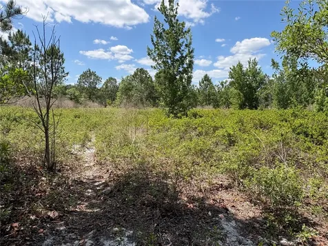 San Juan Avenue Polk City FL 33868