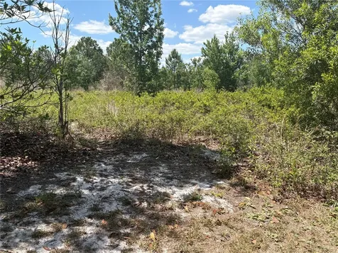 San Juan Avenue Polk City FL 33868