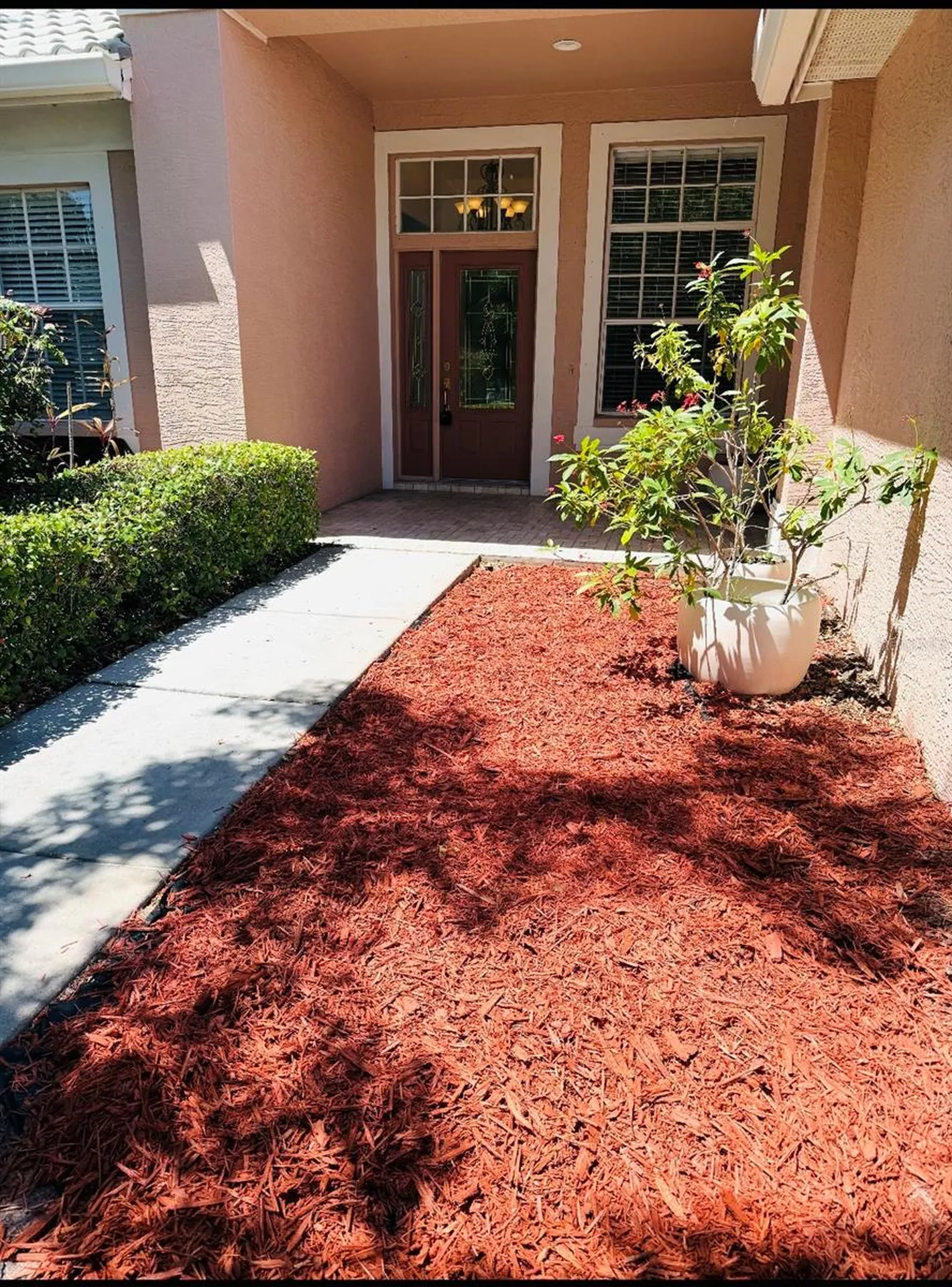 2204 Elizabeth Way Dunedin FL 34698