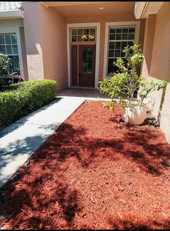 2204 Elizabeth Way Dunedin FL 34698