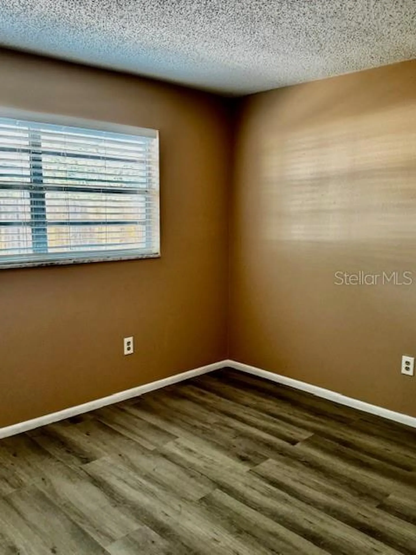 3073 Pine Tree Avenue Largo FL 33771