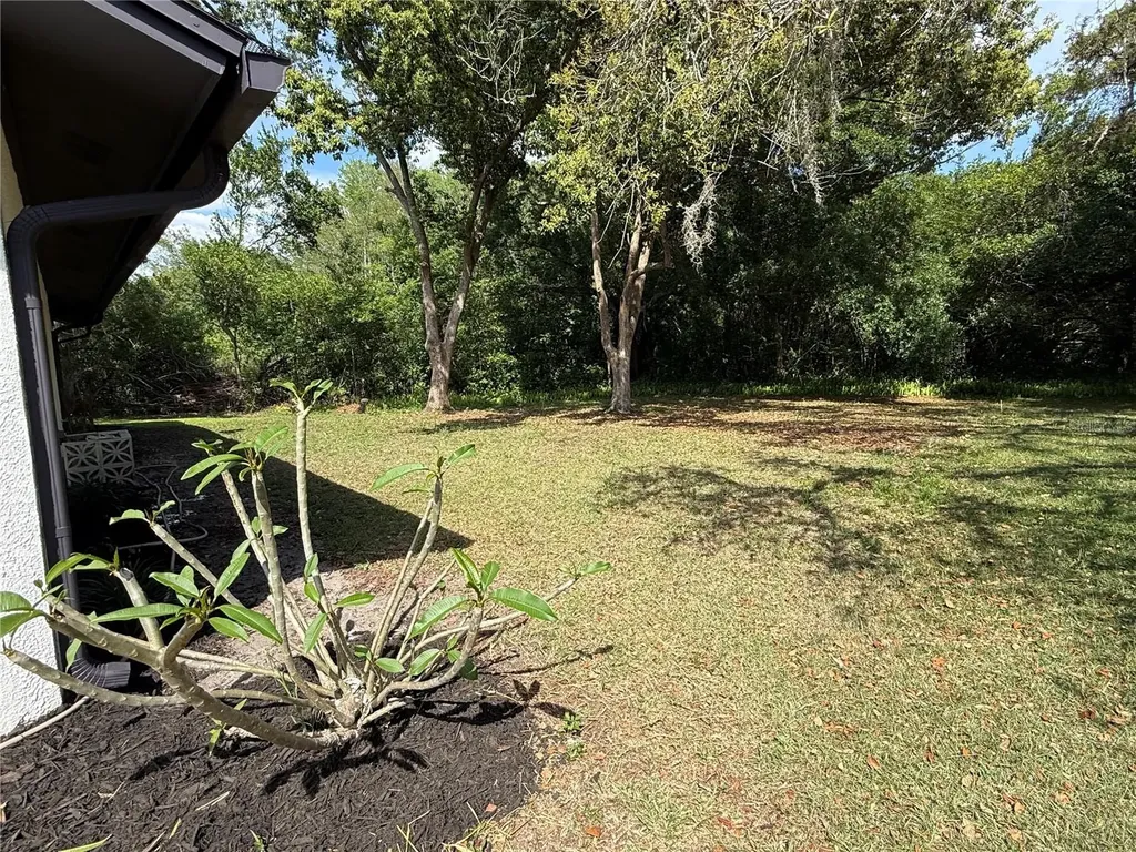 10501 Hardwood Court Port Richey FL 34668