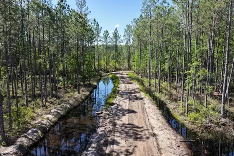 15539 County Road 305 Bunnell FL 32110