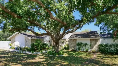 1307 Normandy Circle Palm Harbor FL 34683