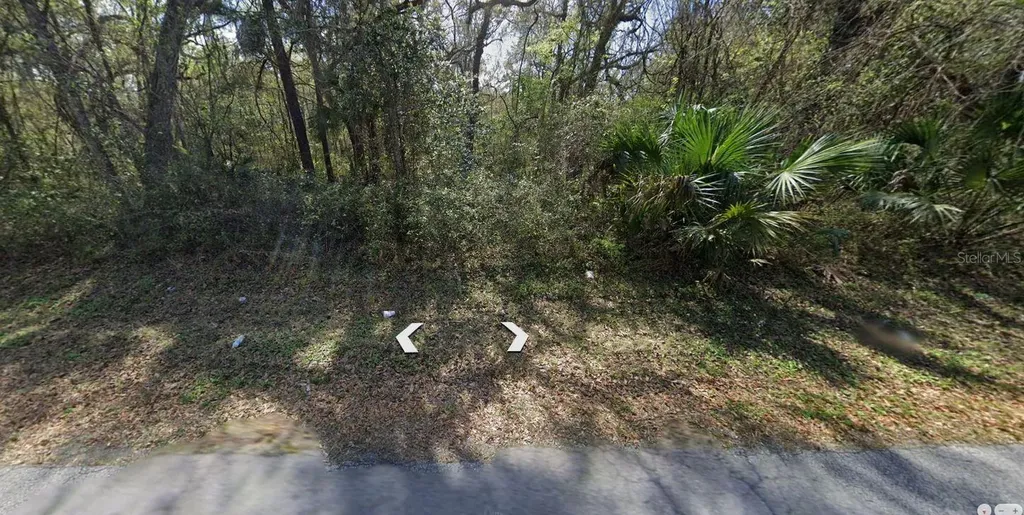 6376 E Seneca Street Inverness FL 34452