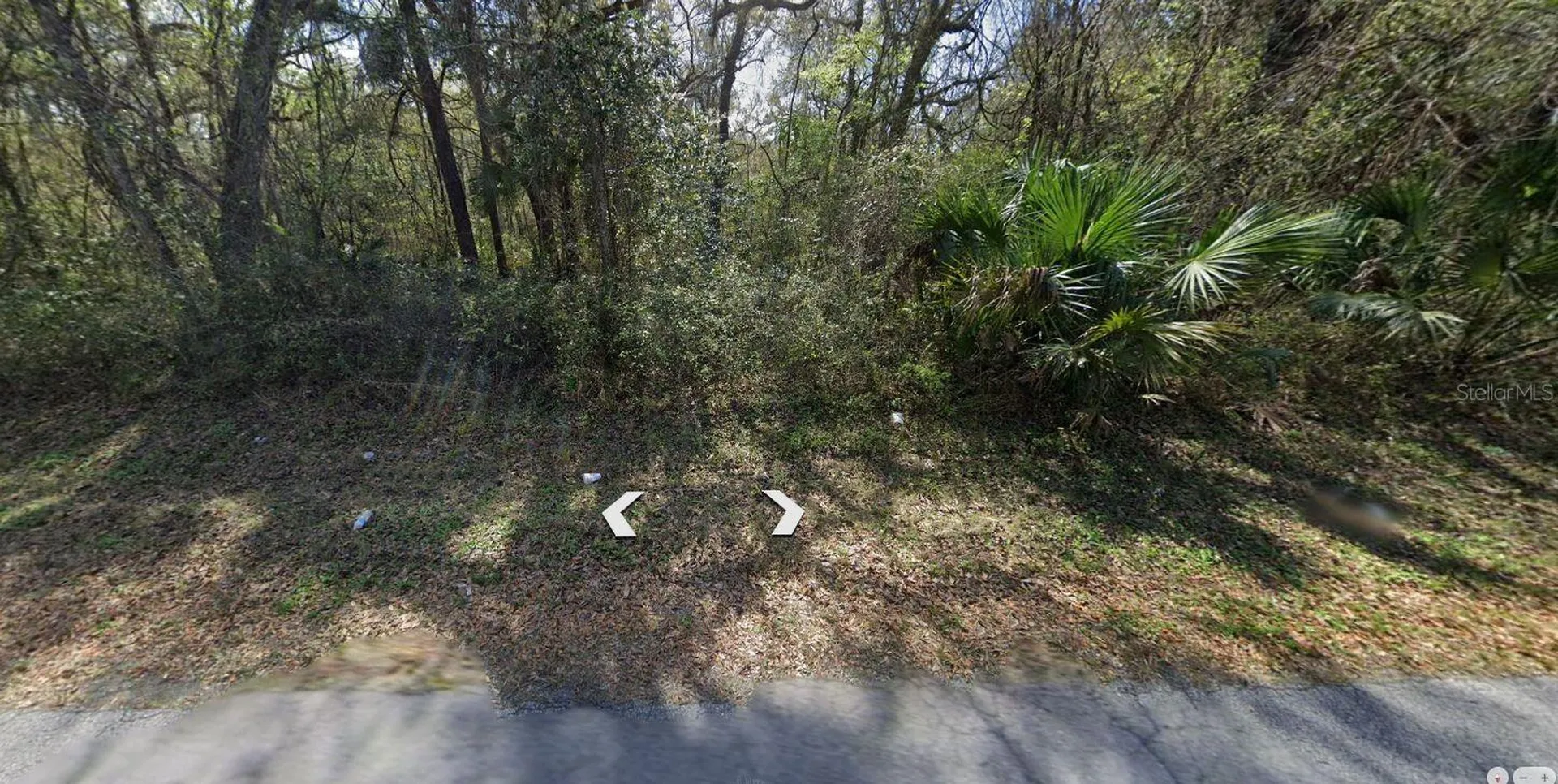 6376 E Seneca Street Inverness FL 34452