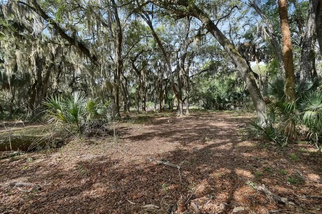 175 Baywood Drive Oak Hill FL 32759