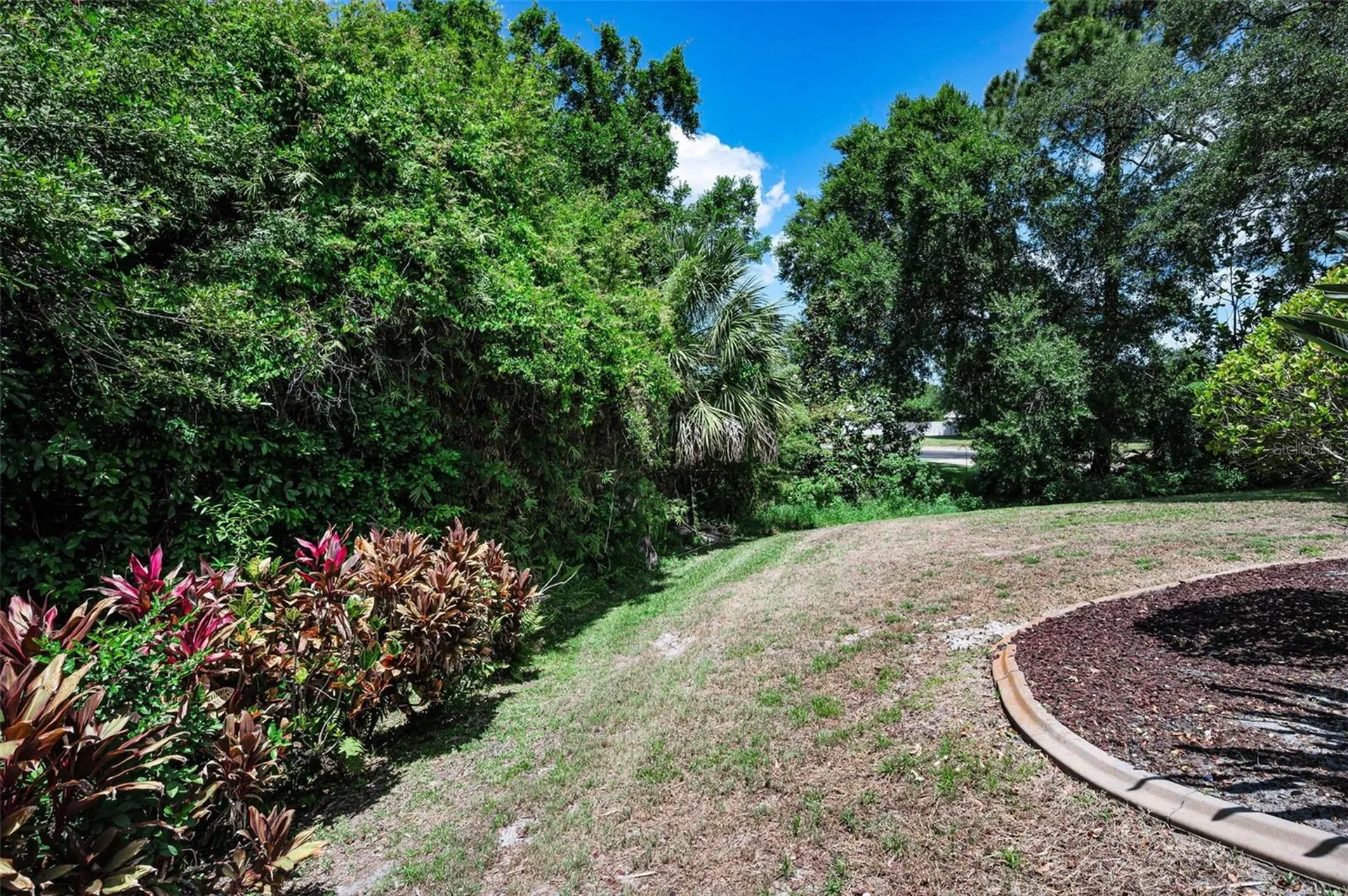 3423 Foxhall Drive Holiday FL 34691