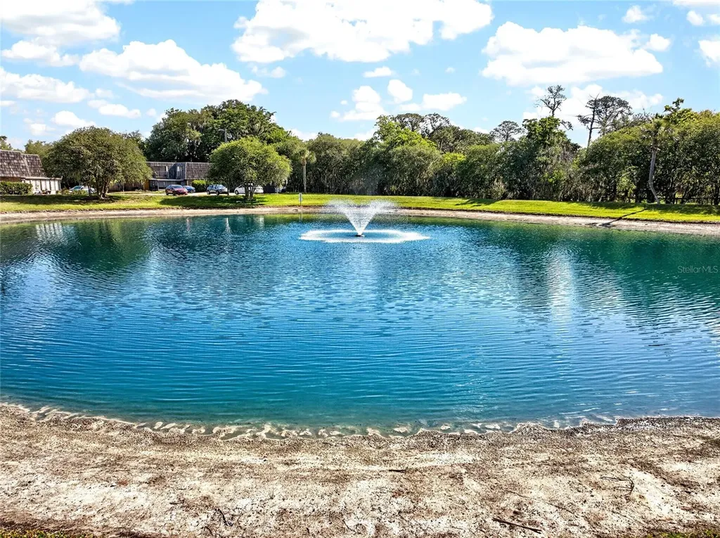 2906 Ash Drive Leesburg FL 34748