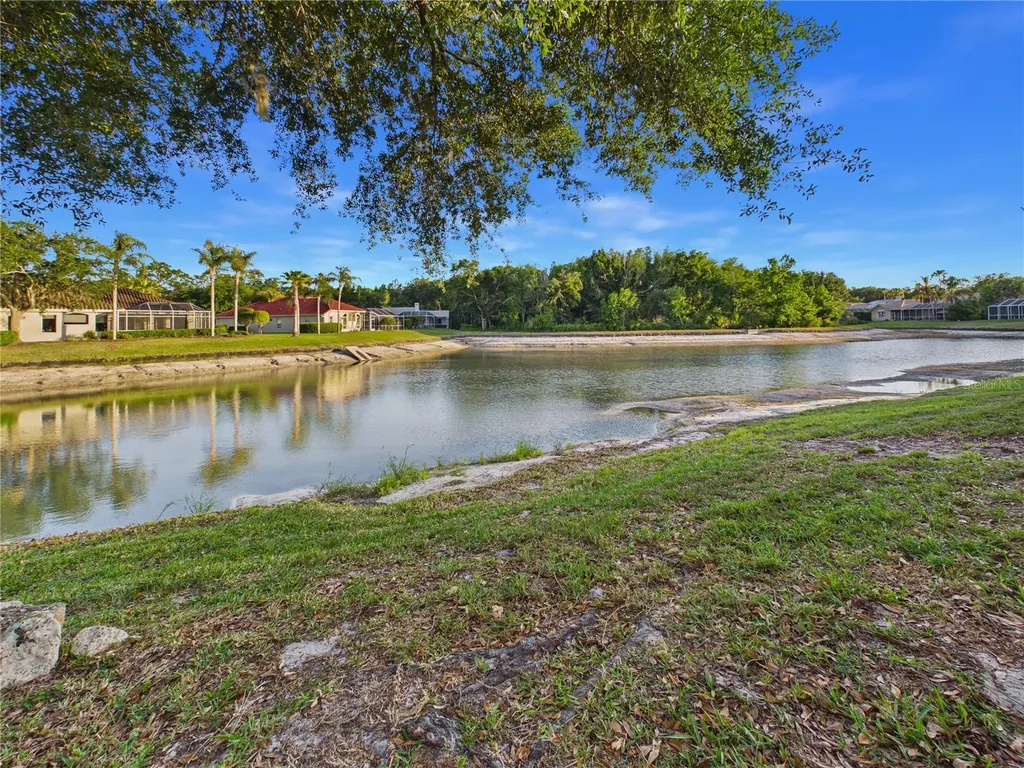 10207 Estuary Drive Tampa FL 33647
