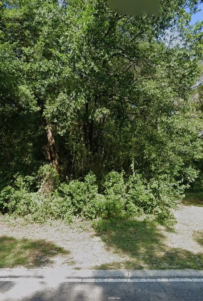 3678 S Apopka Avenue Inverness FL 34452