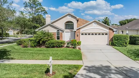 9008 Quail Creek Drive Tampa FL 33647