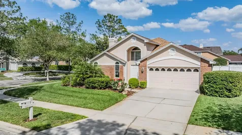 9008 Quail Creek Drive Tampa FL 33647