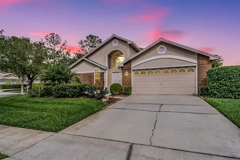 9008 Quail Creek Drive Tampa FL 33647