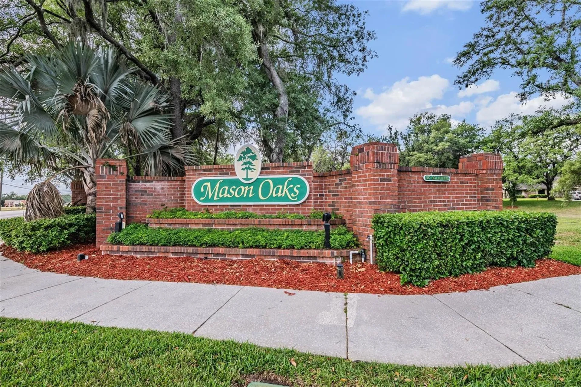 2542 Mason Oaks Drive Valrico FL 33596