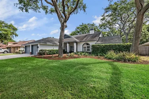 2542 Mason Oaks Drive Valrico FL 33596