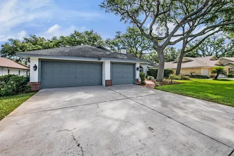 2542 Mason Oaks Drive Valrico FL 33596