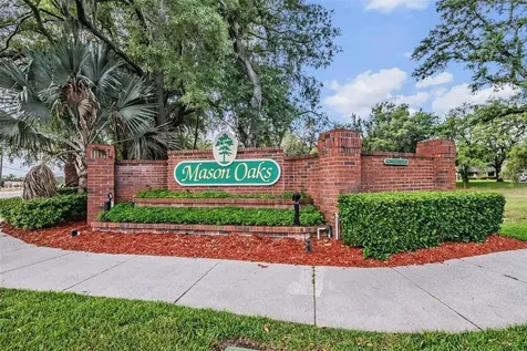 2542 Mason Oaks Drive Valrico FL 33596