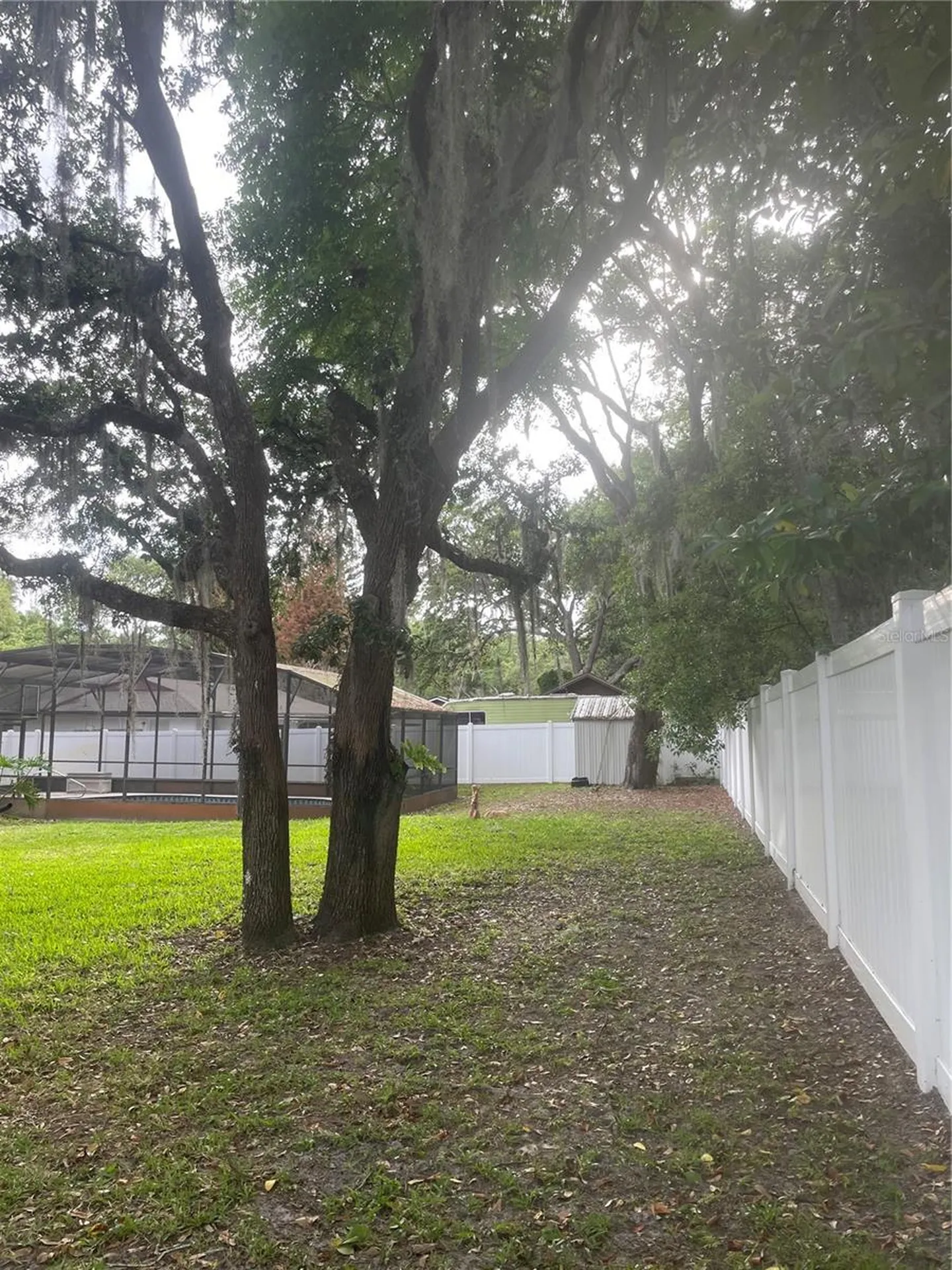 9917 Nicoma Lane Orlando FL 32817