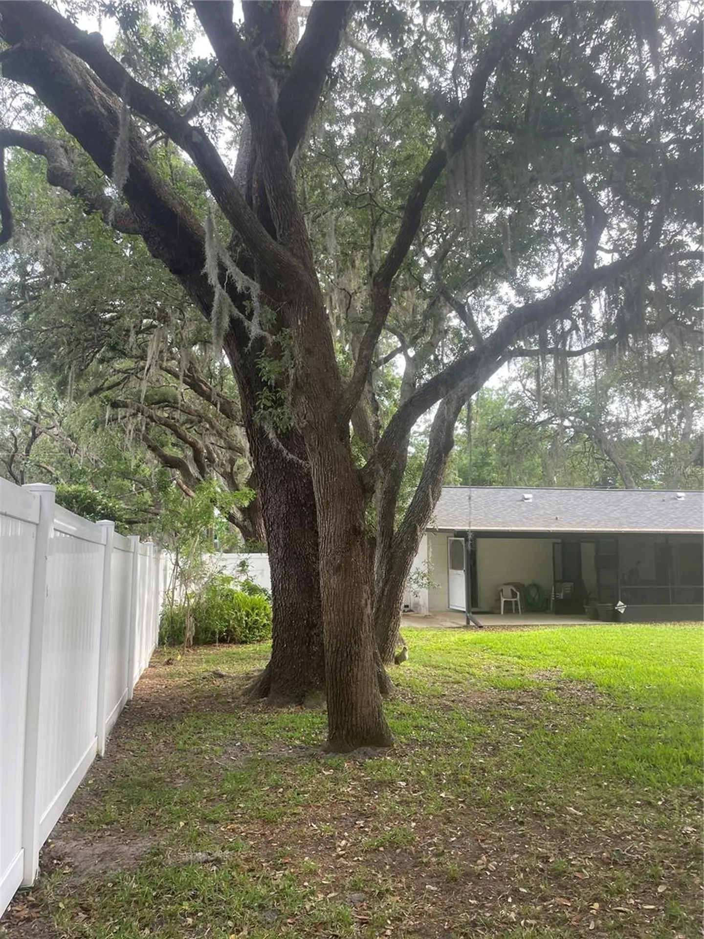 9917 Nicoma Lane Orlando FL 32817