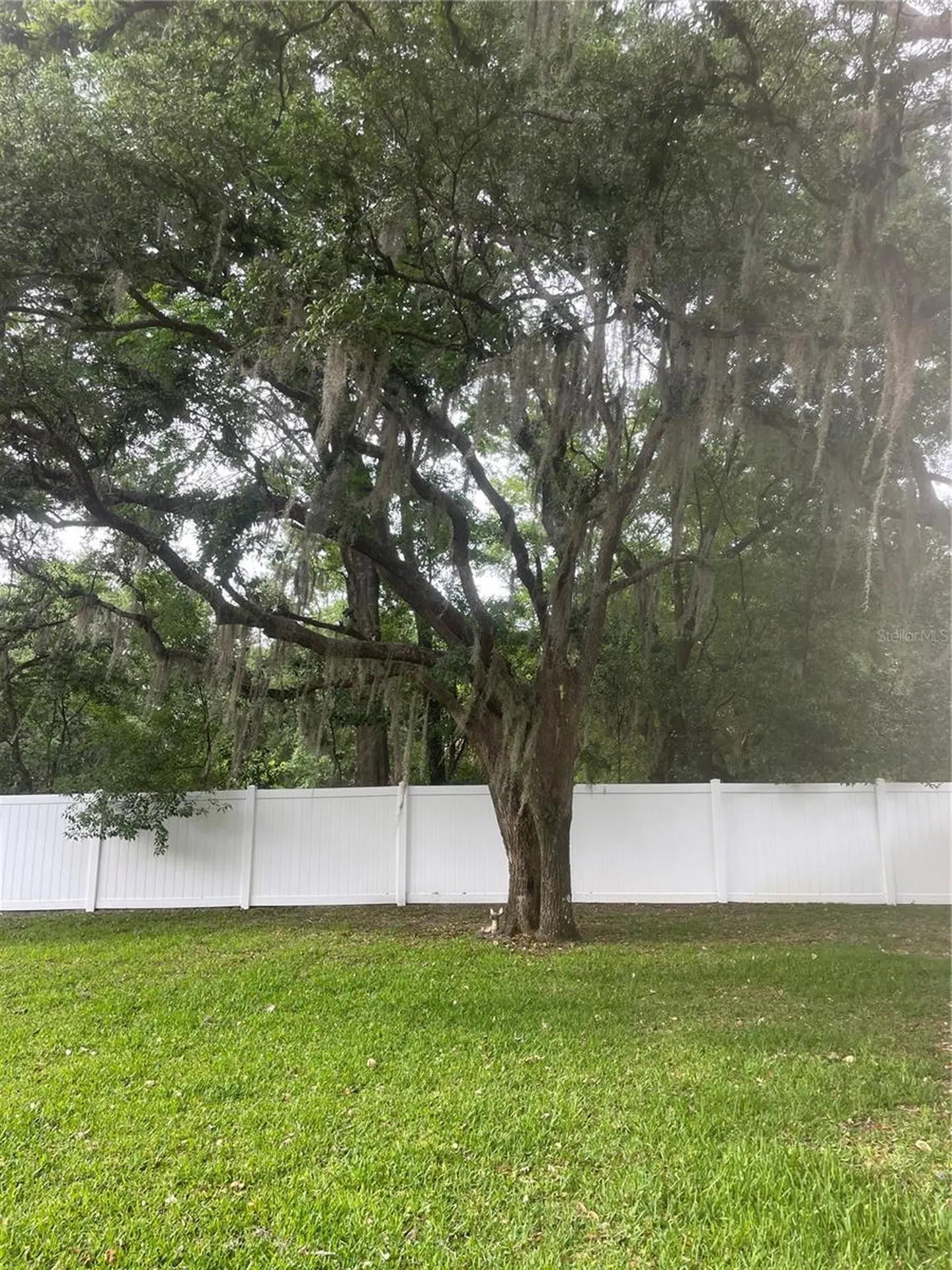 9917 Nicoma Lane Orlando FL 32817