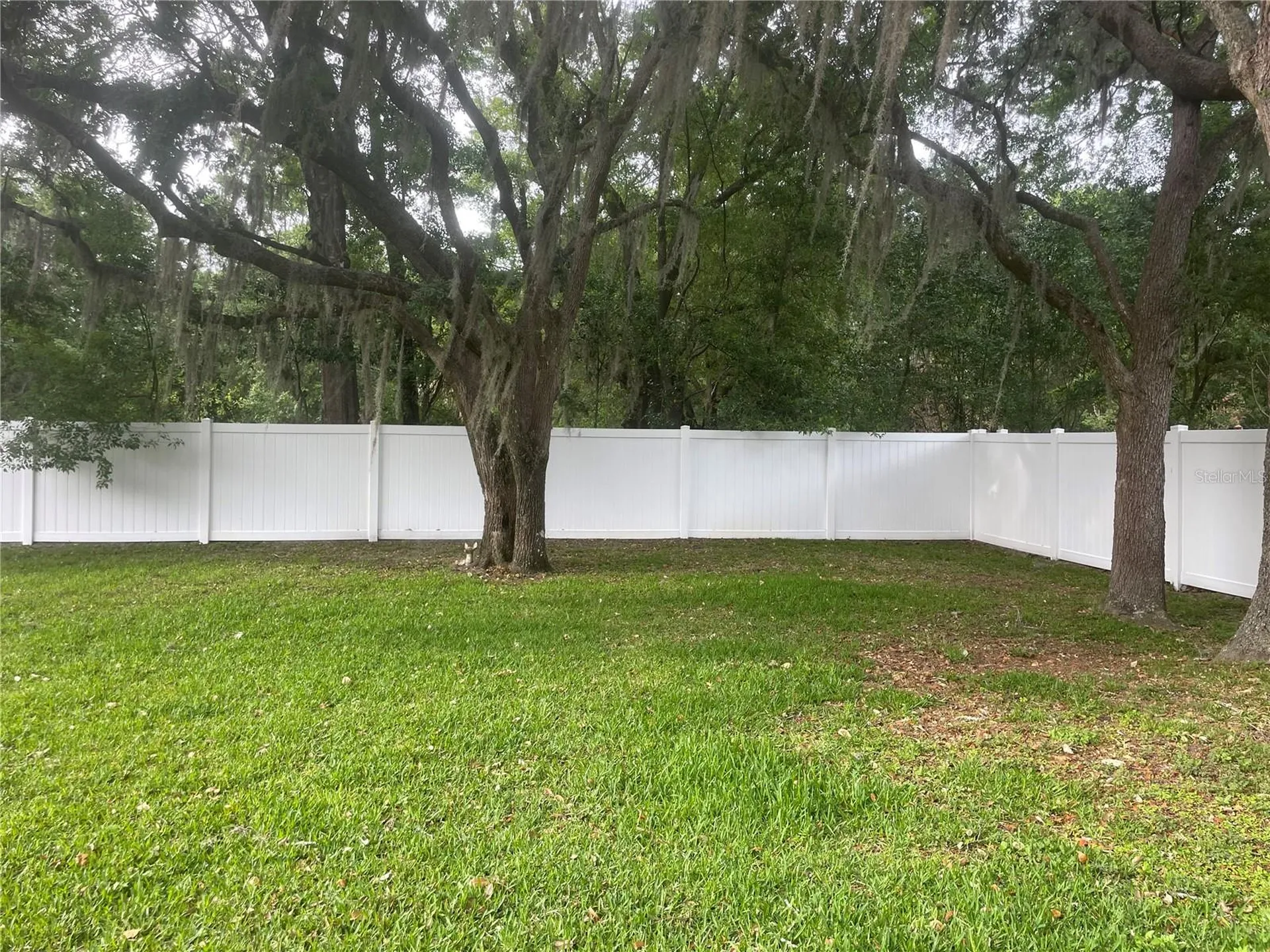 9917 Nicoma Lane Orlando FL 32817