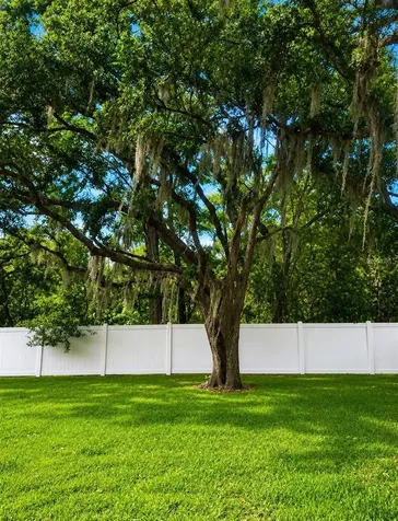 9917 Nicoma Lane Orlando FL 32817