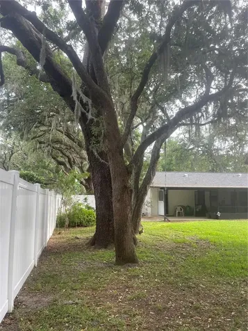 9917 Nicoma Lane Orlando FL 32817