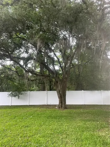 9917 Nicoma Lane Orlando FL 32817