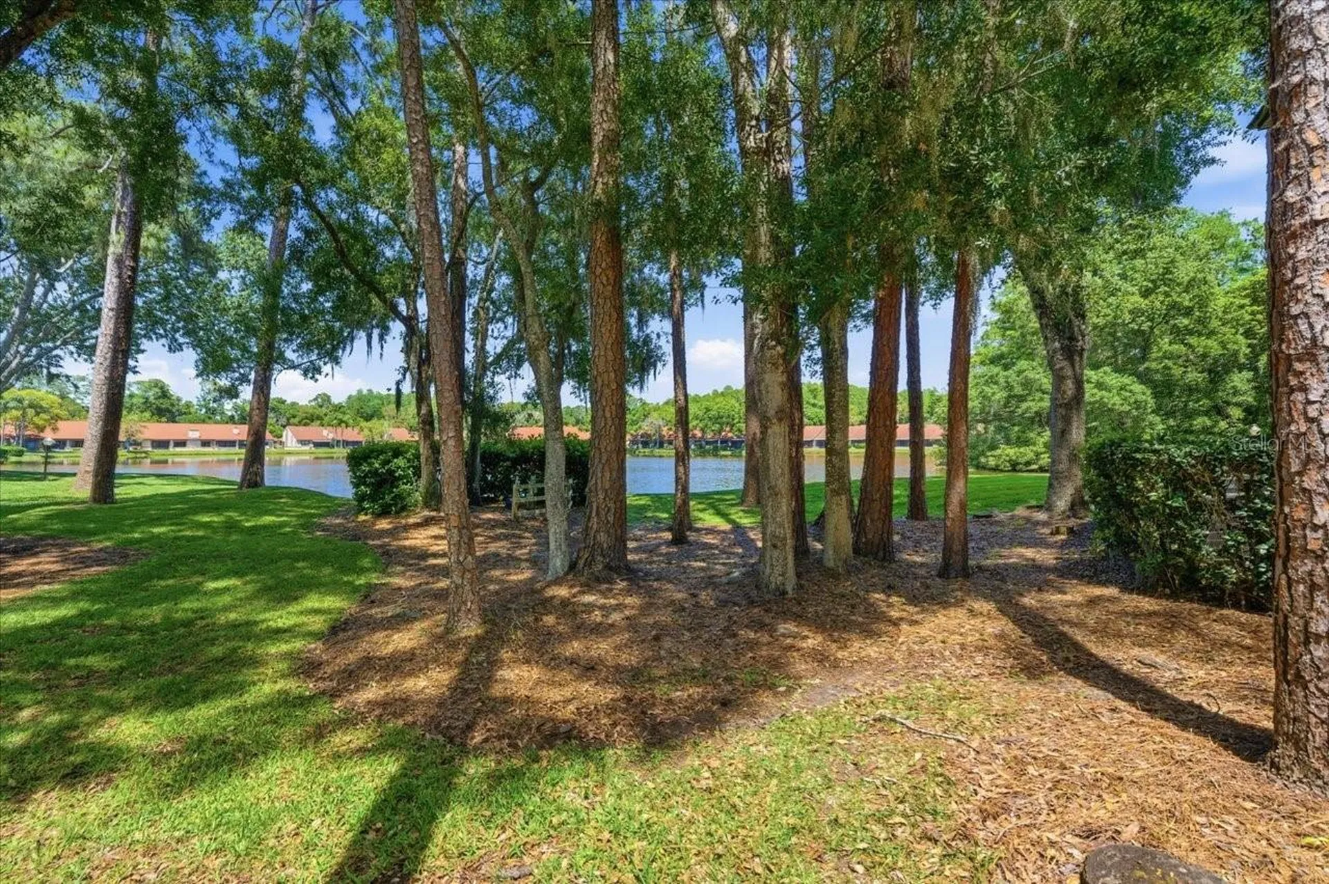 3399 Mermoor Drive Palm Harbor FL 34685