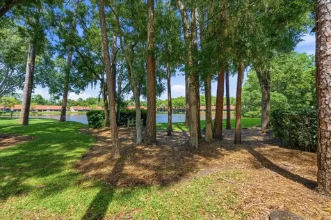 3399 Mermoor Drive Palm Harbor FL 34685