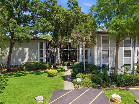 3399 Mermoor Drive Palm Harbor FL 34685