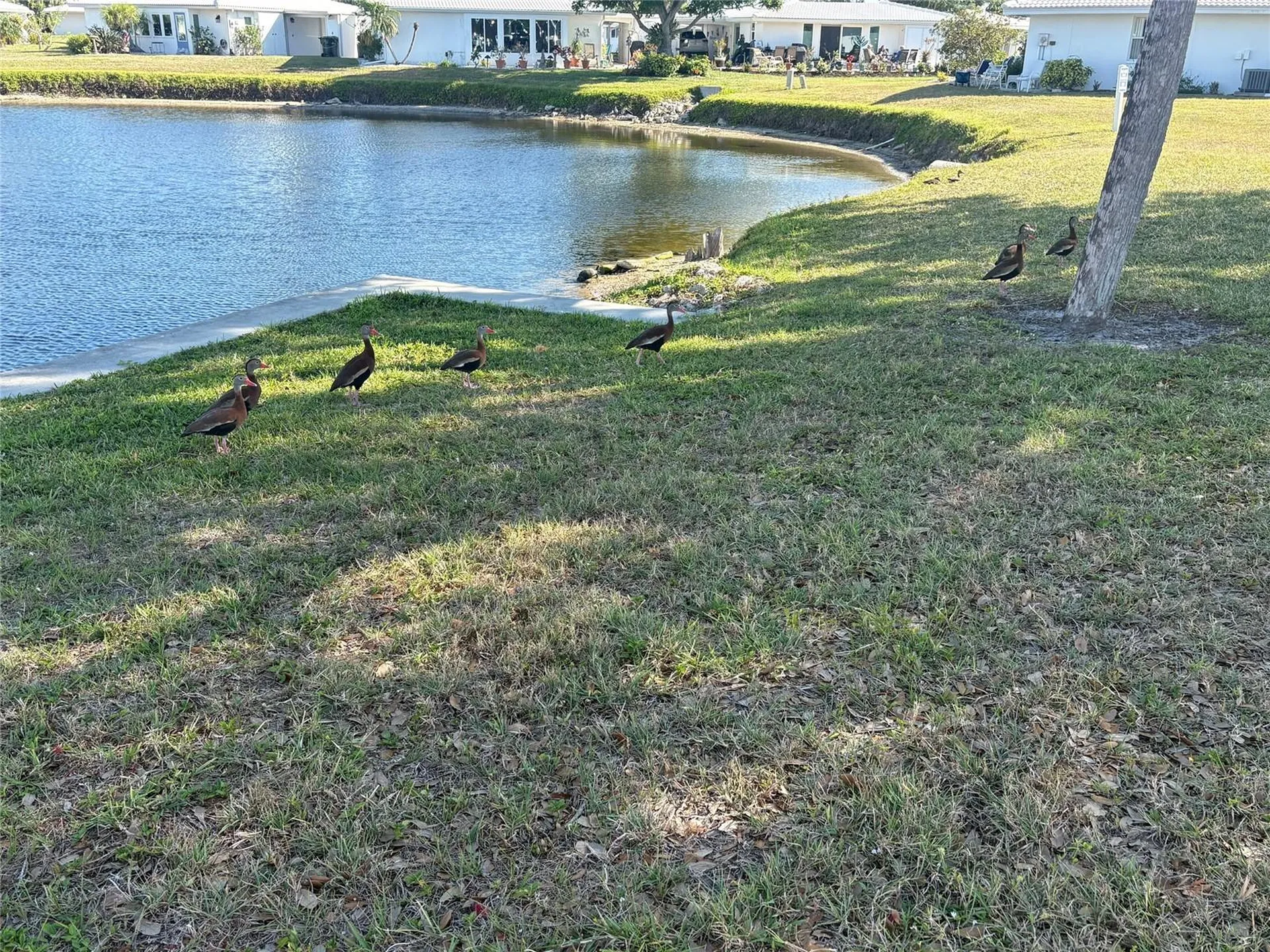 690 Circlewood Drive Venice FL 34293