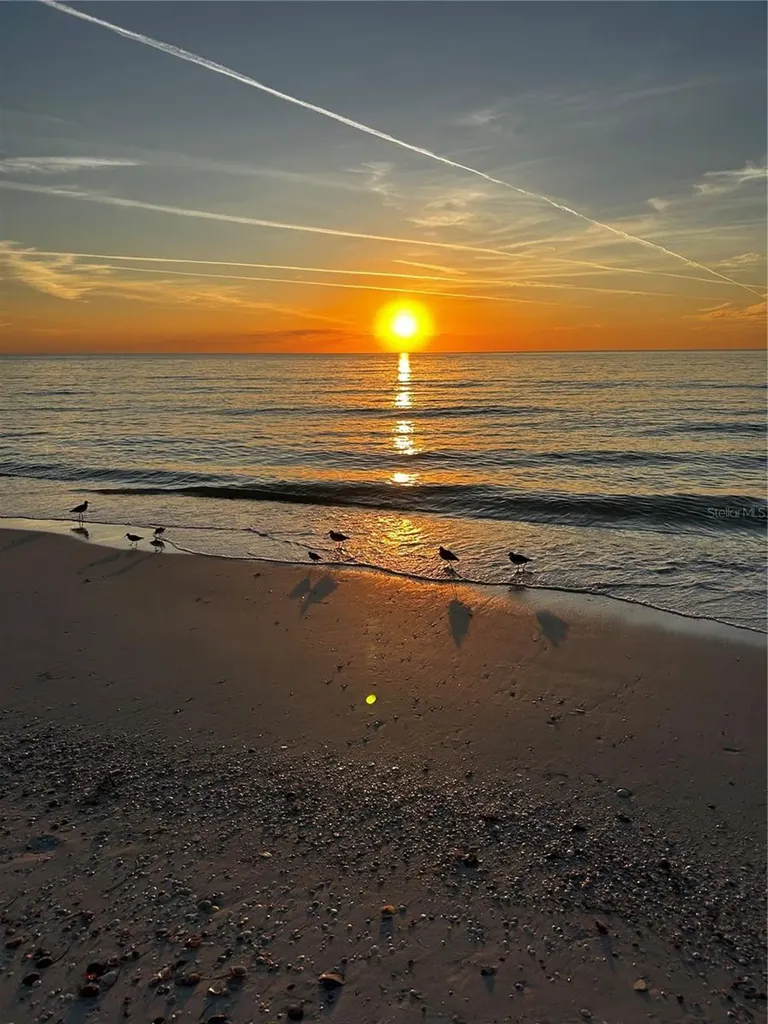 880 Mandalay Avenue Clearwater Beach FL 33767