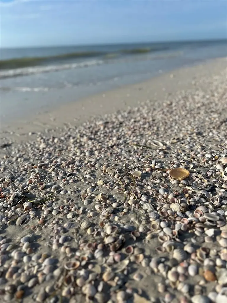 880 Mandalay Avenue Clearwater Beach FL 33767